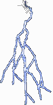 call_lightning.gif call_lightning.gif