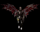 chevalieri5.png chevalieri5.png