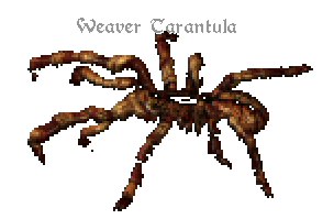 wtarantula.png wtarantula.png